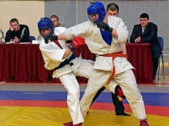 В Воронеже пройдет VII фестиваль боевых искусств