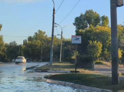 Воронежцам запретили купаться в огромной луже 