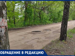  20-сантиметровое «нечто» мешает воронежцам попасть домой 