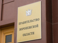 Правительство Воронежской области выпустило обращение к жителям региона 
