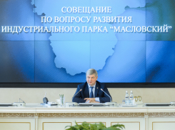Воронежские власти компенсируют из бюджета затраты резидентов парка «Масловский»