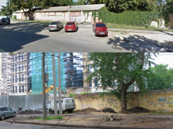 Строители вслед за дорожниками и плиточниками включились в «модный тренд» по разрушению деревьев в Воронеже