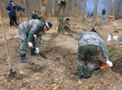 В Воронежской области нашли останки 300 советских солдат