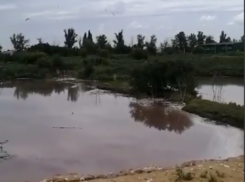 Заполнило все говном: тошнотворное озеро показали на видео в Воронежской области