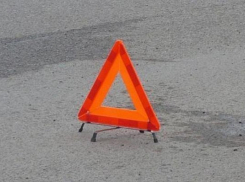 В Лискинском районе «восьмерка» врезалась в дерево: водитель погиб