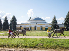 Хреновской конный завод отметил 250-летие в Воронежской области
