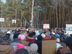Мэр Воронежа попросил повременить со строительством ледового дворца в парке «Танаис»