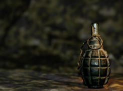 В Воронежской области полицейские искали наркотики, а нашли гранату