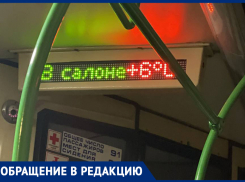«Пар изо рта»: на адский холод в маршрутке пожаловалась пассажирка из Воронежа 