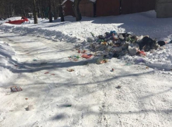 Люди превратили дорогу в Воронеже в помойку 