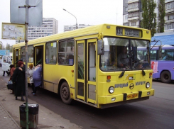 Воронежец предложил чиновникам ввести бесплатный проезд для пожилых людей