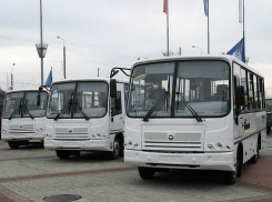 В День памяти и скорби к центральным мемориалам Воронежа будут ходить автобусы