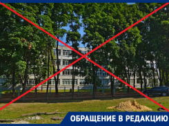Родители просят закрыть школу на ковидный карантин из-за массовой заболеваемости учеников