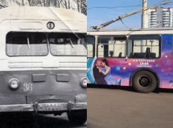 Какие вершины покорял и в какую бездну свалился воронежский троллейбус