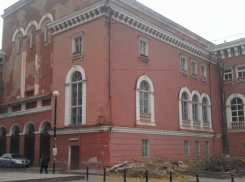 В Воронеже вокруг Мариинской гимназии спилили деревья