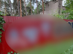 Нацистскими символами изрисовали забор детского лагеря в Воронеже