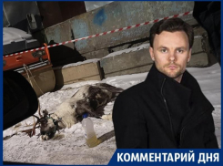 Худрук воронежского театра назвал садизмом смерть оленя на улице 