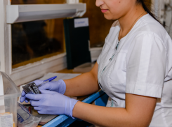 Сколько водителей мэрии Воронежа будут проверять на алкоголь и запрещенные вещества