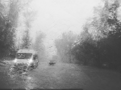 На выходных воронежцев ждет похолодание и дождь