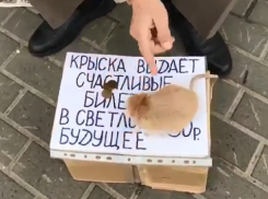Крыску, выдающую воронежцам билеты в счастливое будущее, показали на видео