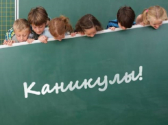 Из-за коронавируса воронежским школьникам продлили каникулы 