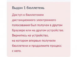 Жительница Воронежа не смогла за 24 попытки проголосовать на выборах президента