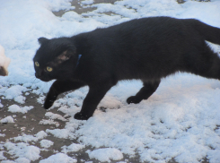 Кошмарную погоду подарит воронежцам Старый Новый год