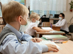 Воронежские школы возобновят работу после карантина