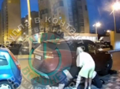 Эпичный спарринг с валянием на земле попал на видео в Воронеже