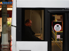 Маршрутка неприятно удивила жителя Воронежа