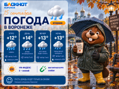 Осень пришла: прогноз погоды в Воронеже