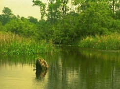 В Воронежской области утонул 4-летний ребенок
