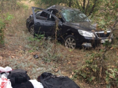 3-летняя девочка погибла при столкновении двух Skoda Octavia на трассе под Воронежем