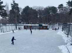 Опубликовано расписание ледового катка в «Алых парусах» в Воронеже