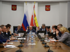 Почему депутатам можно пропускать важные заседания, ответили в Воронежской облдуме 