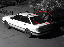 Камуфляжное нападение на иномарку сняла камера в воронежском дворе