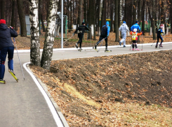 Лыжероллерная трасса под Воронежем обойдется бюджету в 46 млн рублей