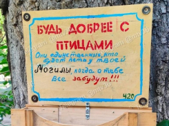 Будут петь у твоей могилы: табличка с серьезным посылом появилась в Воронеже