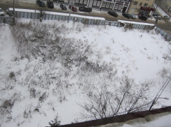 Воронежский «строительный терроризм» или как вдова Перелыгина оказалась на помойке