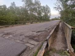 Из-за моста-сыра воронежцы обвинили чиновников в пустословии