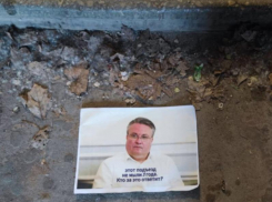 Портреты мэра обнаружили в неожиданном месте в Воронеже 