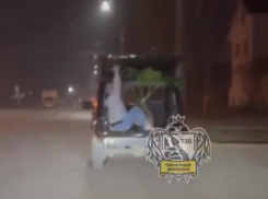 Нетипичная поездка с мега-растением в багажнике попала на видео в Воронеже