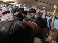 Жаркое утро в воронежской маршрутке сняли пассажиры