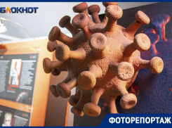 Гигантские макеты Covid-19 и портреты погибших врачей на выставке «Красная зона» в Воронеже