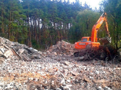 В Воронеже землю, где стоял советский ресторан «Сосновый бор», выставили на продажу