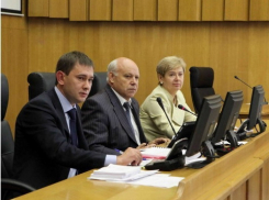 Вице-спикеры Воронежской областной Думы рассказали о своих зарплатах, квартирах, домах и машинах