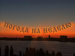 Осенний переполох: какие осадки навестят Воронеж на будущей неделе