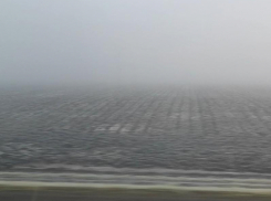 Мокрый снег, туман и гололед привели к желтому уровню погодной опасности в Воронежской области