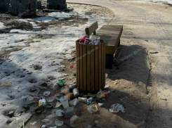 «Свиньи воронежские!»: горожан прорвало после увиденного в центральном парке