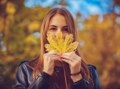 Атмосферные шестеренки раскрутят погоду в Воронеже